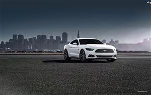 A staggering View of White Ford Mustang