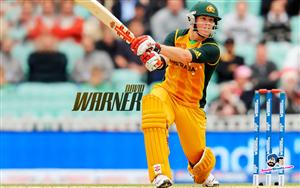 David Warner