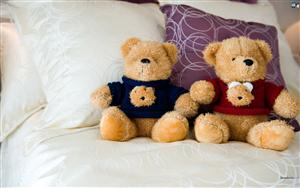 Teddy Bears