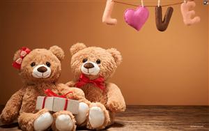 Teddy Bears