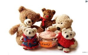 Teddy Bears