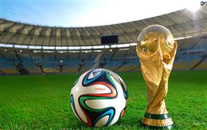 FIFA World Cup 2014