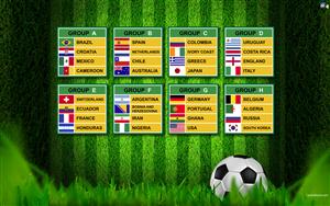 FIFA World Cup 2014