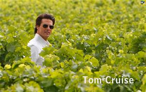 Tom Cruise