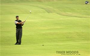 Tiger Woods