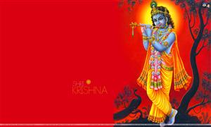 Lord Krishna