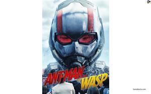 Ant Man and the Wasp