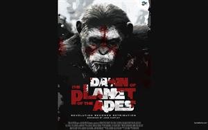 Dawn Of The Planet Of The Apes