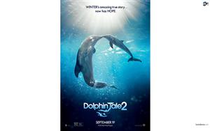 Dolphin Tale 2