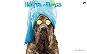 Hotel For Dogs