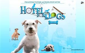 Hotel For Dogs