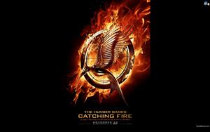 The Hunger Games Catching Fire