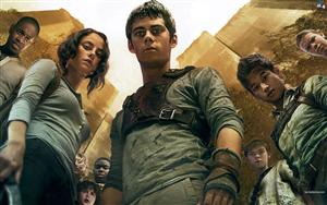 The Maze Runner