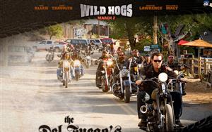 Wild Hogs