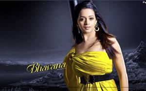 Bhavana