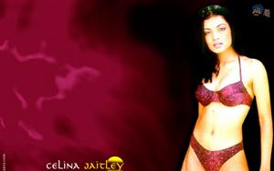 Celina Jaitly