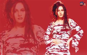 Gracy Singh