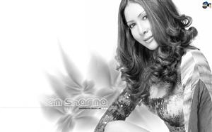 Kim Sharma