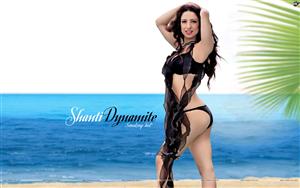 Shanti Dynamite