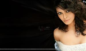 Sherlyn Chopra