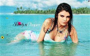 Sherlyn Chopra