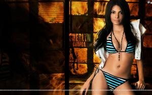 Sherlyn Chopra