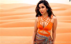 Sophie Choudry