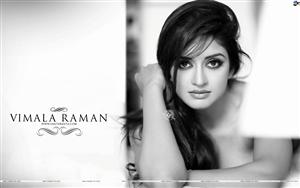 Vimala Raman