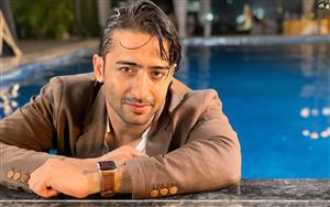 Shaheer Sheikh