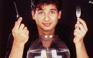 Shahid Kapoor