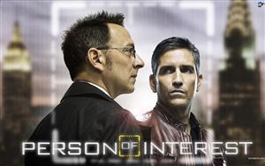 Person of Interest