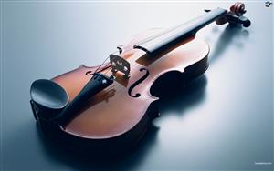 Musical Instruments