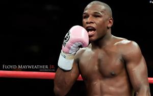 Floyd Mayweather Jr