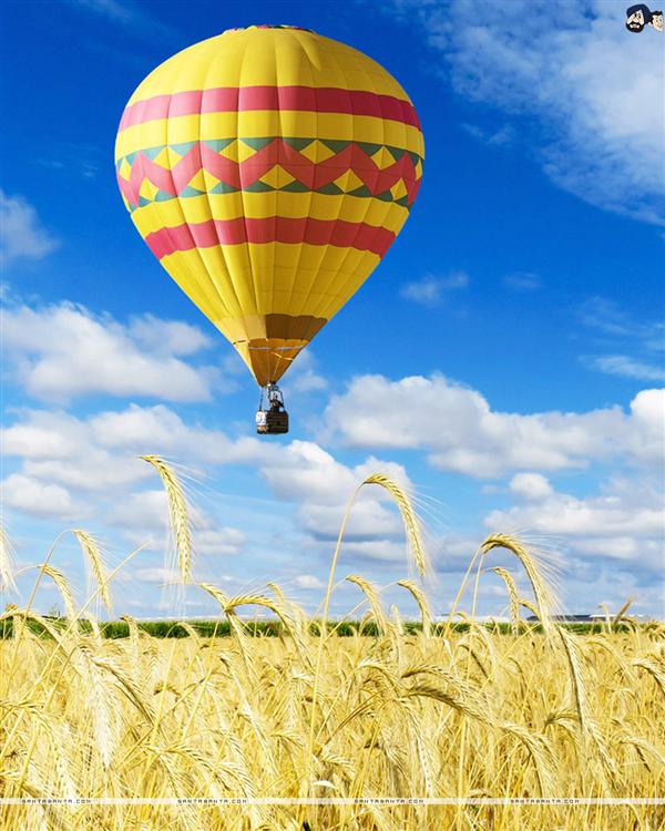 Hot Air Balloons