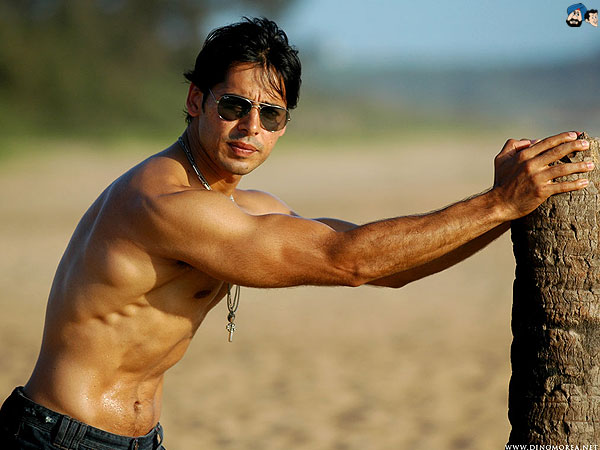 Dino Morea