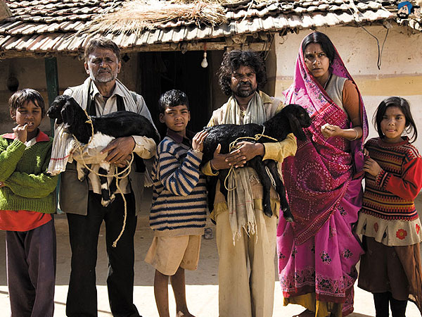 Peepli Live