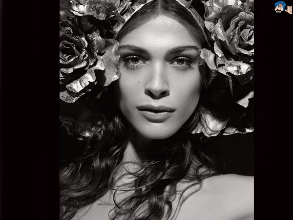 Flora
