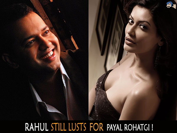 Rahul Still Lusts For Payal Rohatgi !