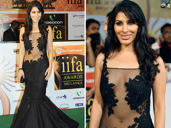 Black Beauty at IIFA