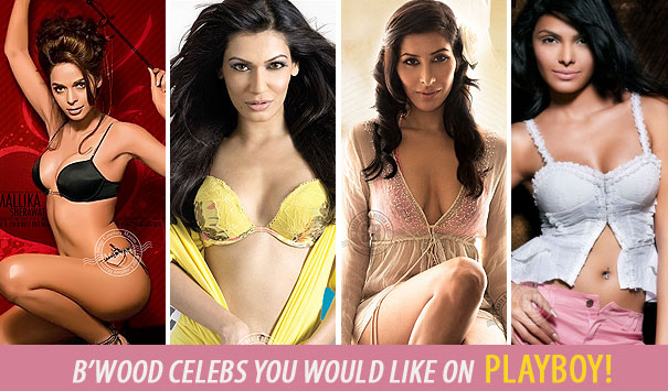 B'wood Celebs You Would Like On Playboy