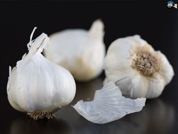 Go Garlic shopping