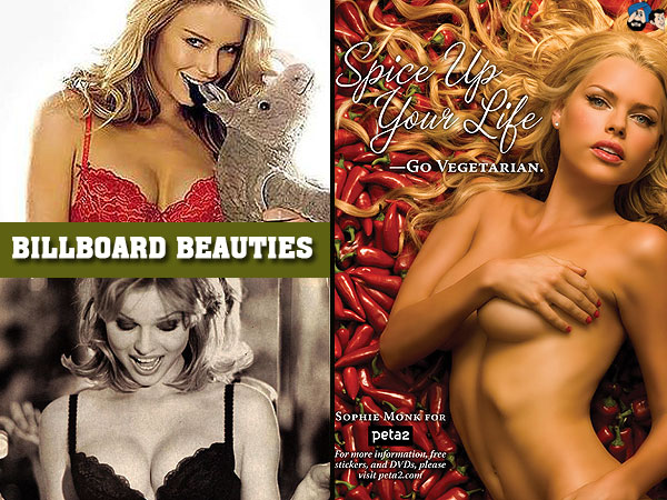 Billboard Beauties