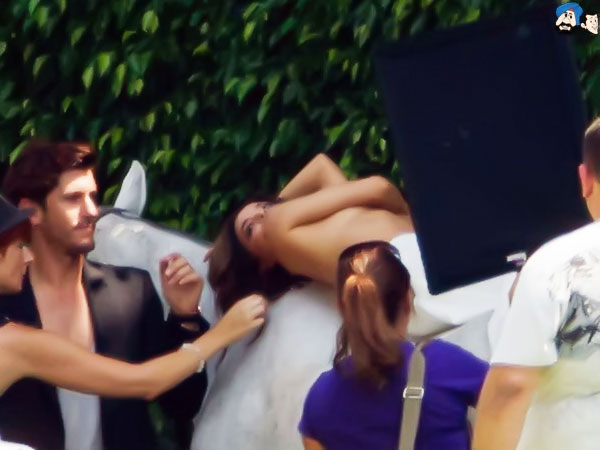 The Admiring Boyfriend