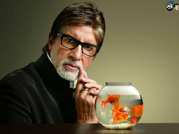 Amitabh Bachchan Car Crash Hoax 