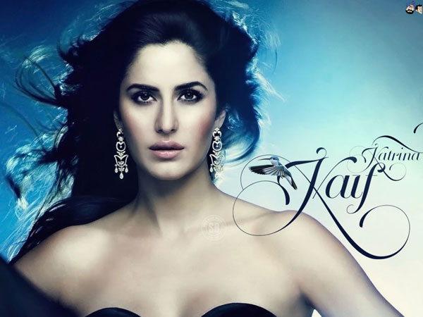 Showcasing the Elegance 