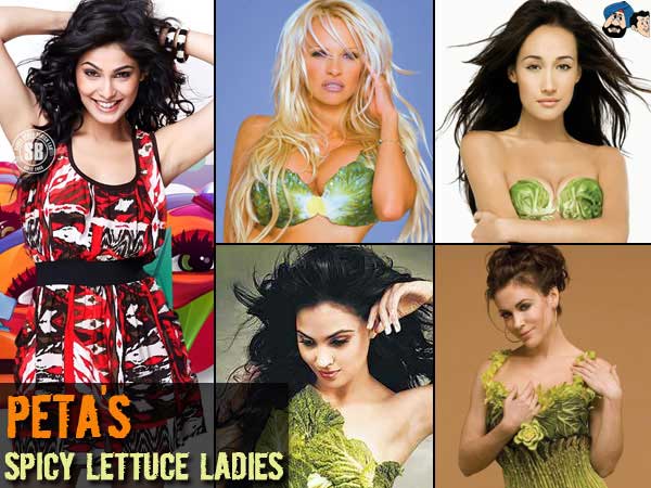 Peta's Spicy Lettuce Ladies