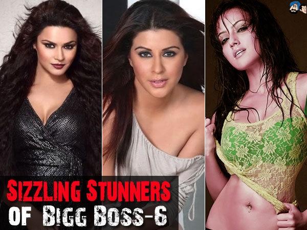 Sizzling Stunners of Bigg Boss-6
