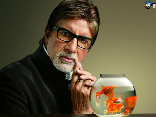 Amitabh Bachchan: More please!