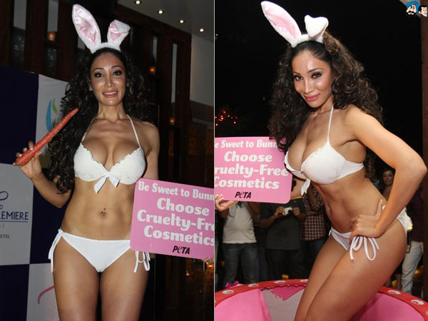 Can you resist being sweet to this Bunny