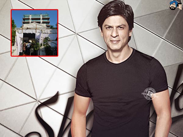 Environmental violations